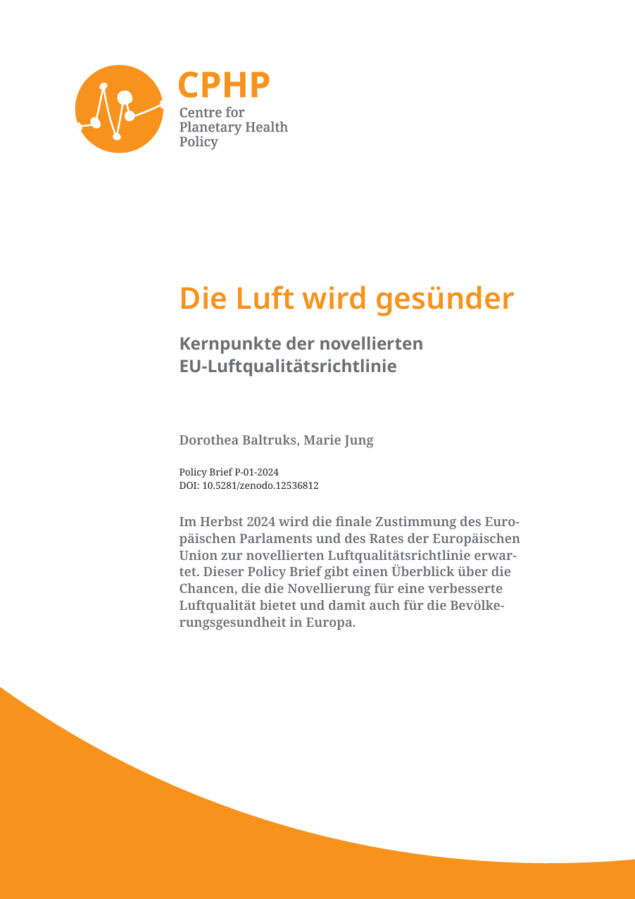 Vorschau des Policy Briefs